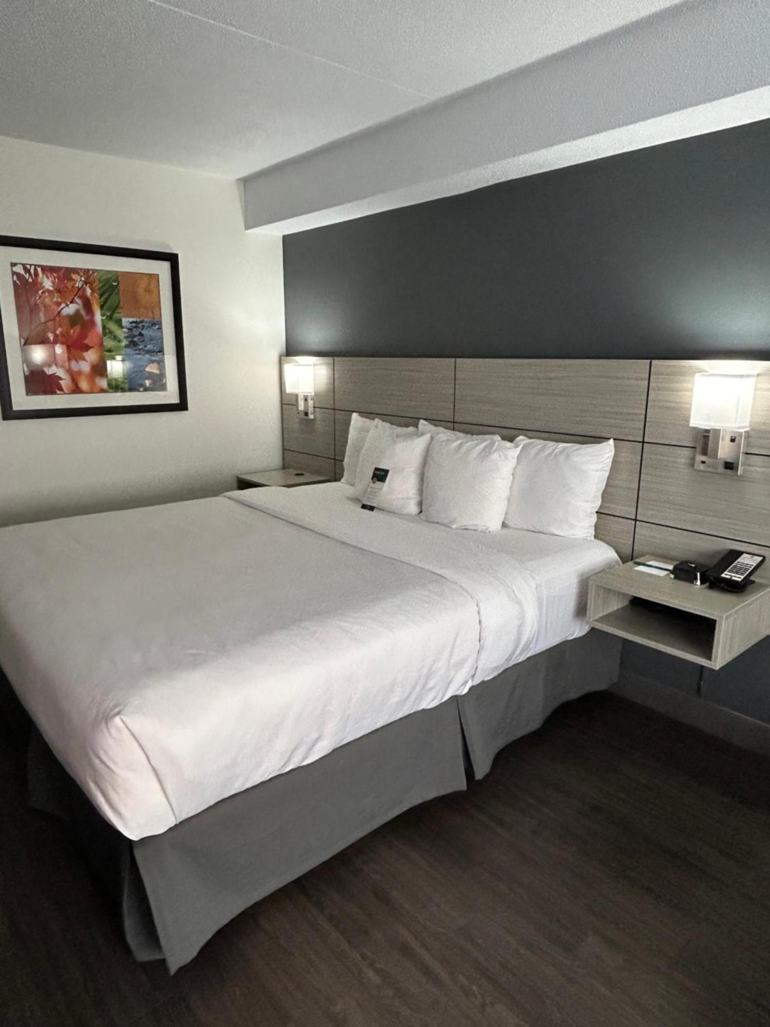 Quality Inn Лимингтон Экстерьер фото